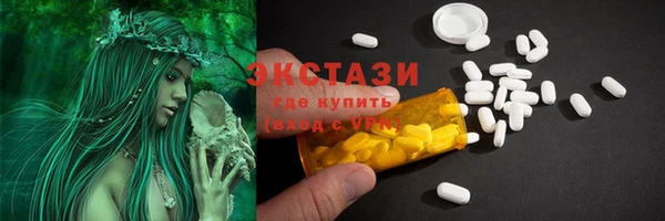 дживик Богородицк