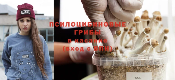 дживик Богородицк
